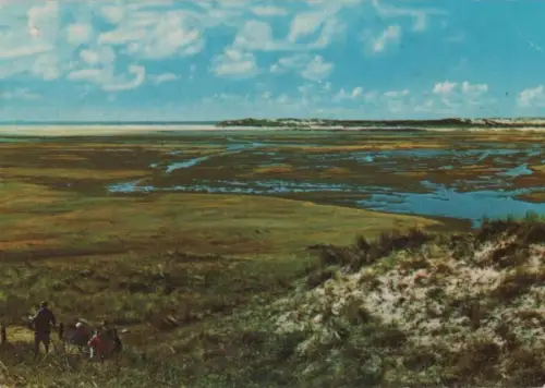 Niederlande - Niederlande - Texel - De Slufter - 1976