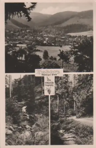 Tabarz und Umgebung - 1956