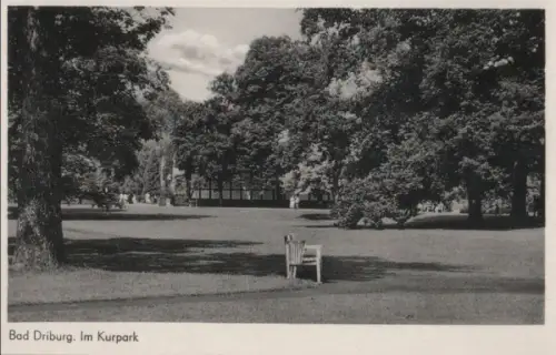 Bad Driburg - Im Kurpark - ca. 1960