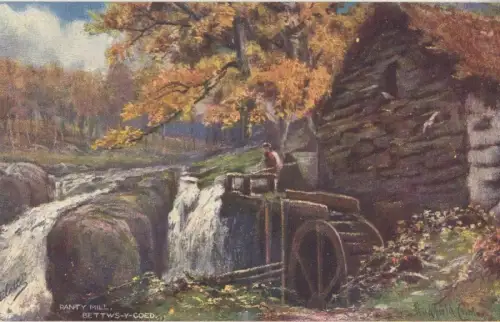 Großbritannien - Newcastle upon Tyne - Großbritannien - Bettws-y-Coed - Panty Mill