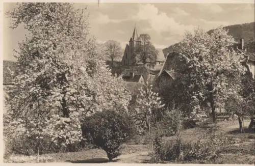 Zwingenberg, Bergstraße - Birnenblüte
