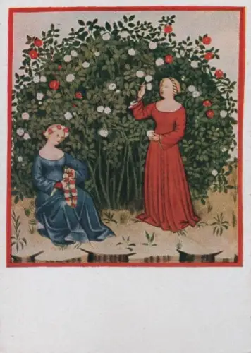 Rosenstrauch Miniatur