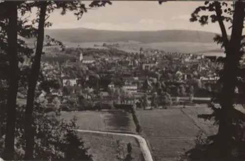 Bad Salzungen - Blick von der Waldschänke - 1966