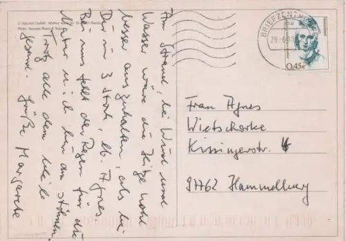 Dünen grasbewachsen