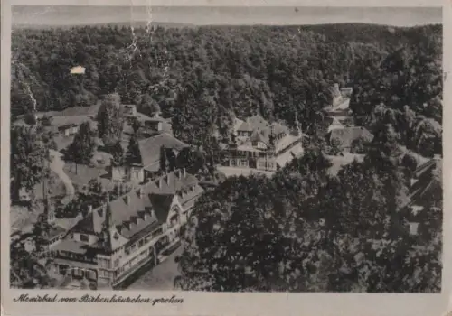 Harzgerode-Alexisbad - vom Birkenhäuschen gesehen - ca. 1955
