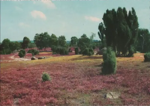 Heidelandschaft - ca. 1975