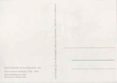 Rosa Banksianae blühend