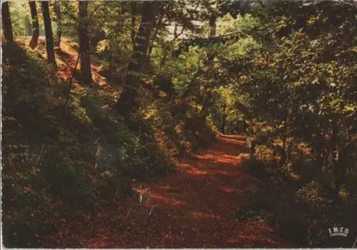 Belgien - Belgien - Ardennen - ca. 1975