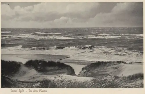 Sylt - In den Dünen