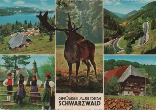 Schwarzwald - 5 Bilder