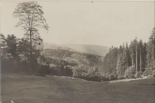 unbekannter Ort - Landschaft mit Wald