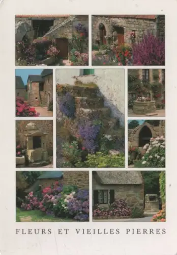 Blumenbilder Blüten