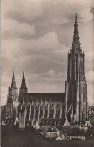 Ulm - Münster - 1956