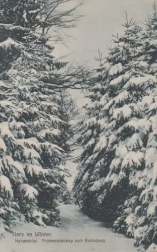 Goslar - Harz im Winter - Hahnenklee Promenadenweg - ca. 1955