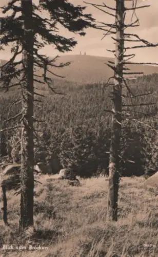 Schierke - Harz - Blick zum Brocken - 1961