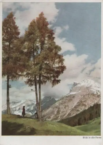 Blick in die Ferne Blick in die Ferne