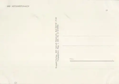 Neckarsteinach - von oben