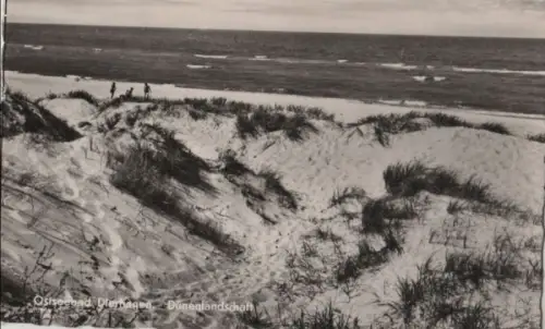 Dierhagen - Dünenlandschaft - 1958