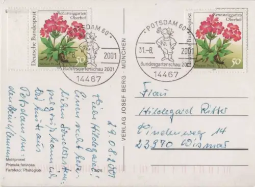 Mehlprimel Sonderstempel