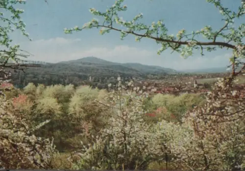 Bergstraße - blühend - 1958