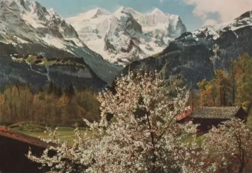 Schweiz - Schweiz - Wetterhorn - ca. 1970