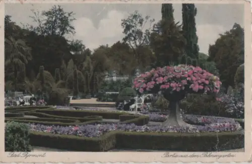 Bad Pyrmont - Partie aus dem Palmengarten - ca. 1925