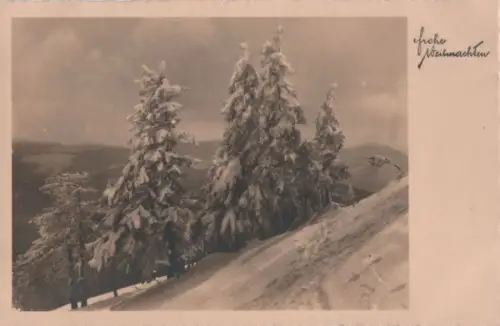 Frohe Weihnachten - Winterlandschaft