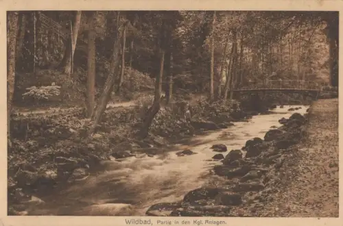 Bad Wildbad - Partie in den Kgl. Anlagen