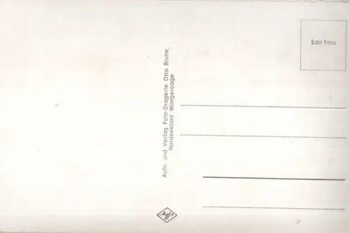 Wangerooge - Seehunde