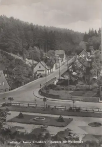 Tanne Oberharz - Waldstraße - 1965