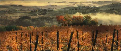 Italien - Toscana - Italien - Val d’Elsa