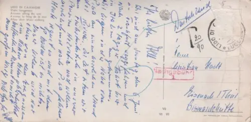 Italien - Camaiore - Italien - Allee