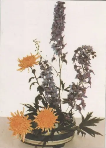 Ikebana Nach heißer Sonne erfrischt kühler Abend