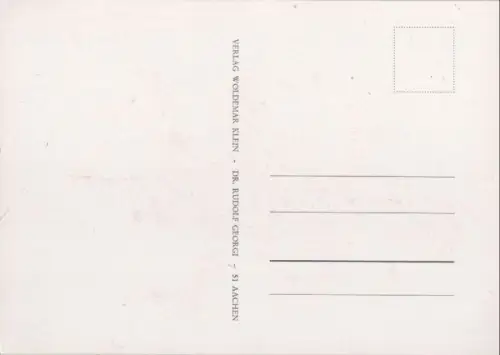 Rosa Pomponia blühend