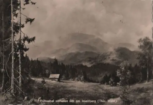 Inselsberg - Frühnebel zerteilen sich - 1964