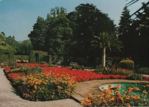 Bad Pyrmont - im Palmengarten - ca. 1980
