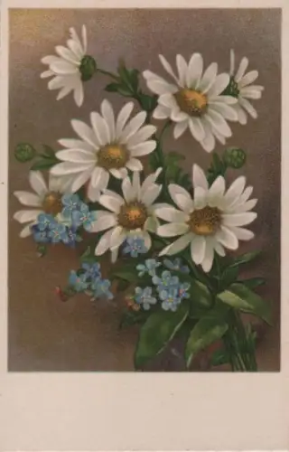 Blumen weiß und blau
