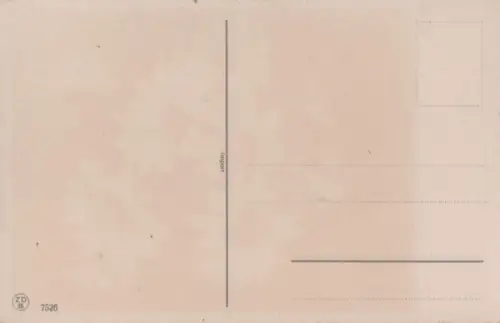 Blumen weiß und blau