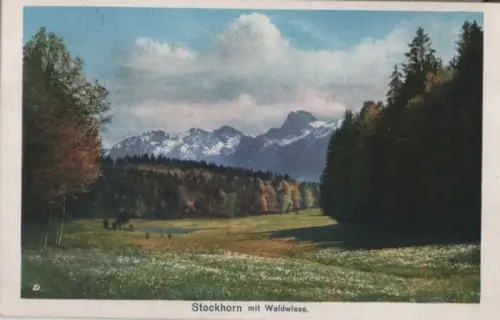 Schweiz - Schweiz - Stockhorn - mit Waldwiese - 1928