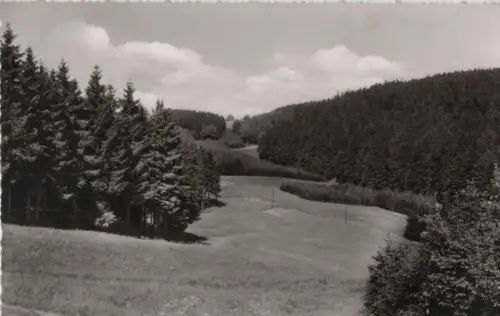 Schwarzenbach - Am Döbraberg - 1964