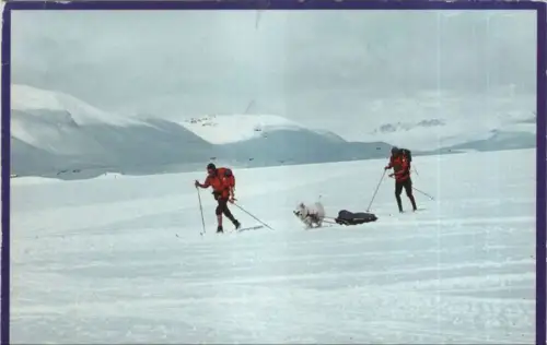 Norwegen - Norwegen - Norwegen - sonniger Wintertag