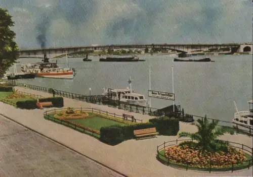 Bonn - Rheinpanorama - ca. 1965