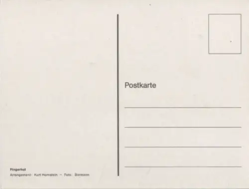 Fingerhut Arrangement