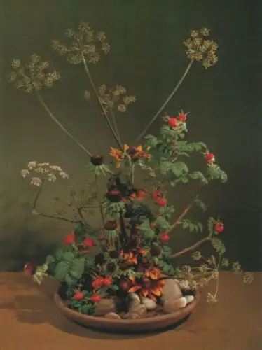 Schierling Arrangement