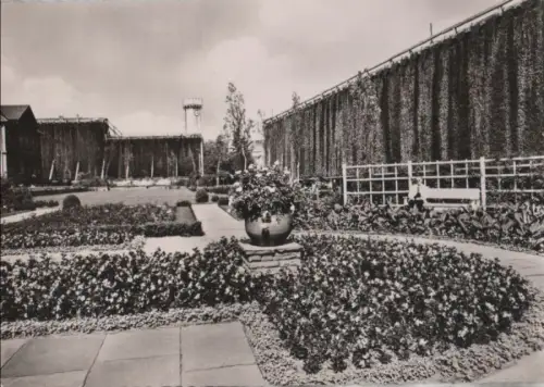 Bad Salzuflen - Rosengärten - 1961