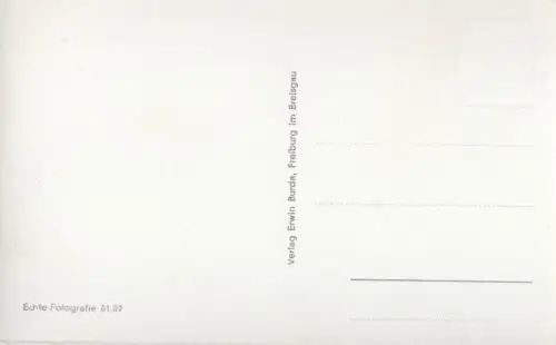 Titisee - mit Feldbergmassiv