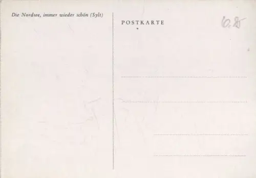 Sylt - Die Nordsee