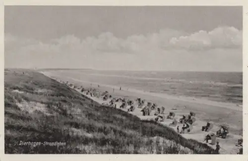 Dierhagen - Strandleben