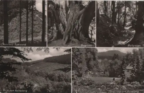 Lübbecke, Westfalen - 5 Teilbilder - 1970