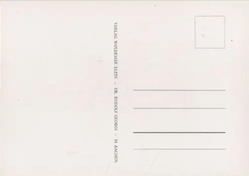 Rosa Indica Cruenta blühend